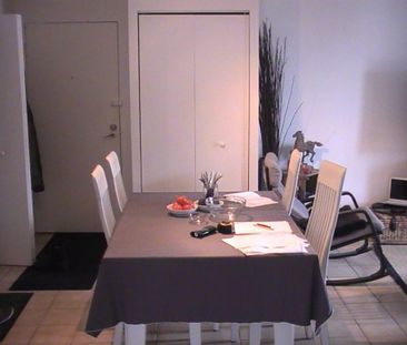 4 ½ à louer – Vieux Longueuil - Immeuble béton - Photo 4
