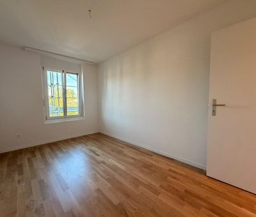 neu sanierte 2.5-Zimmerwohnung im idyllischen Rheinfelden - Photo 2
