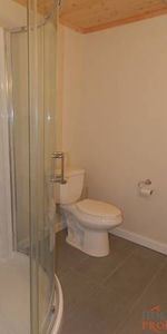 Studio-4902 Laurel Ave *HOLYWELL.CA* - Photo 4