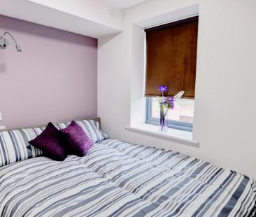 Studio Premium Deluxe - Photo 4