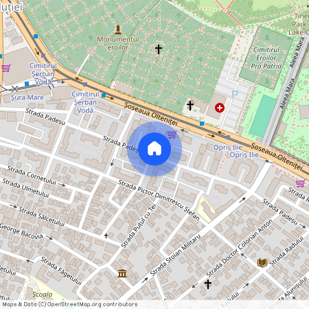 Strada Padesu, Berceni, Sectorul 4, Bucuresti