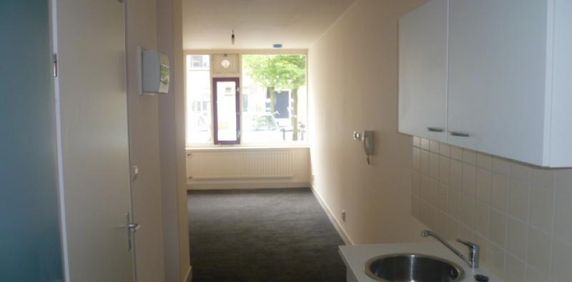 Te huur een leuke studio op een toplocatie aan de Wittevrouwensingel te Utrecht - Photo 2