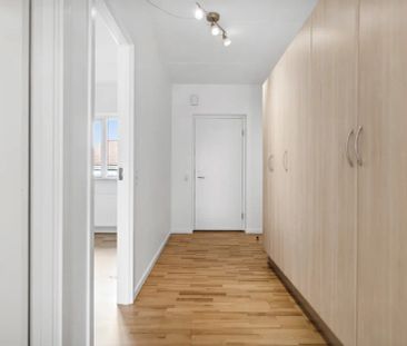 Kæledyr tilladt efter aftale - Photo 2