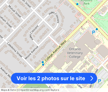 31 College Ave W, Guelph - Photo 1