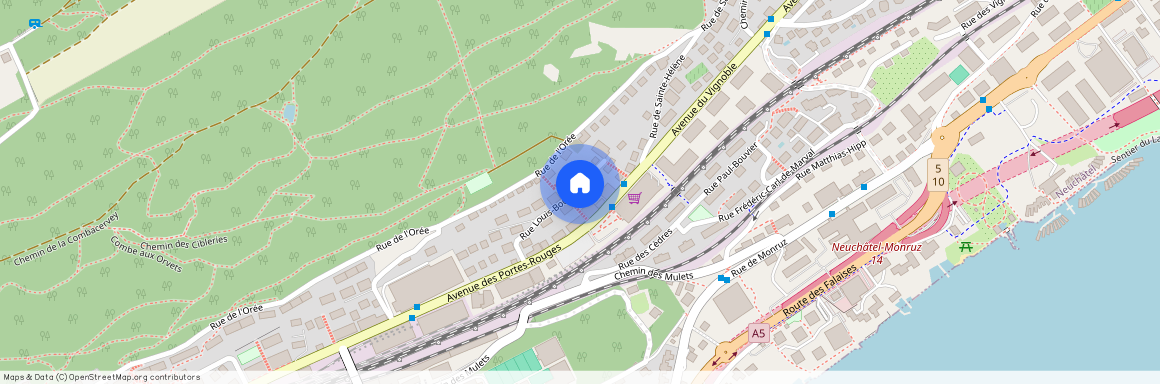 Louis-Bourguet 18, 2000 Neuchâtel