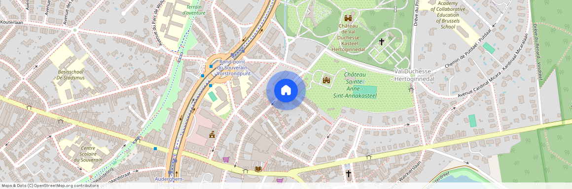 Rue du Vieux Moulin, 77, 1160, Auderghem