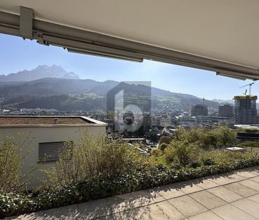 ZENTRAL AN RUHIGER LAGE - Photo 5