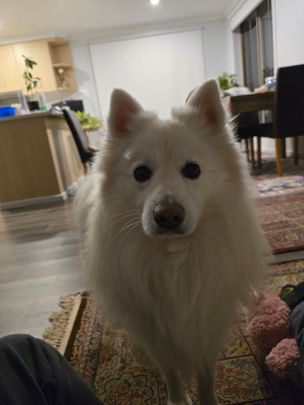 Andrews Farm - Photo 1