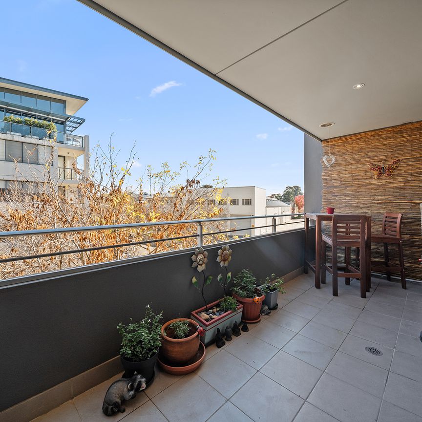 Unit 15/71 Giles St, Kingston ACT 2604 - Apartment For Rent - $750 | Domain - Photo 1