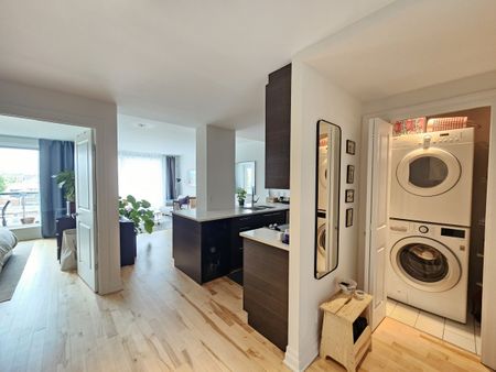 Superbe condo tout meublé dans la Petite Italie ! - Photo 4