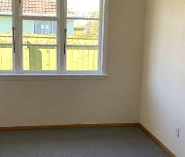 Woodbourne rental house near Blenheim - Photo 5