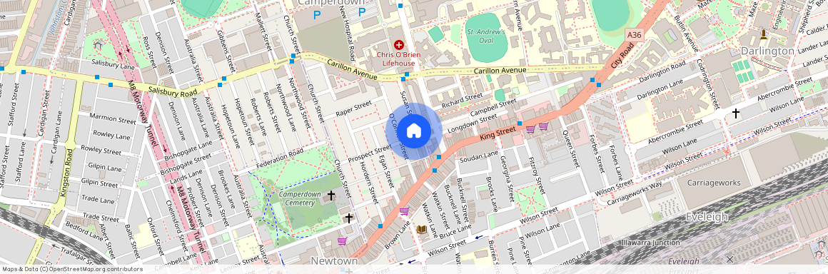 8 Longdown Street, Newtown, NSW 2042