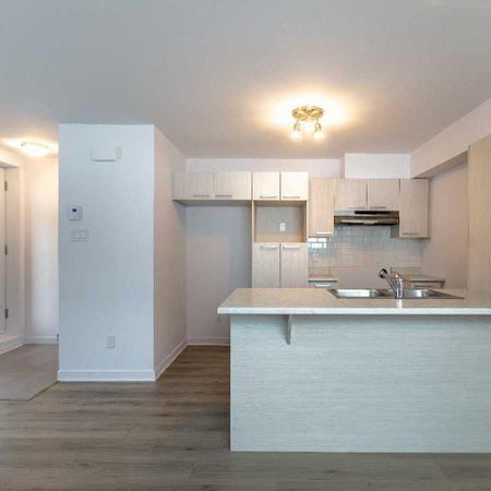Logement 3 1/2 - Janvier 2025 - Photo 3