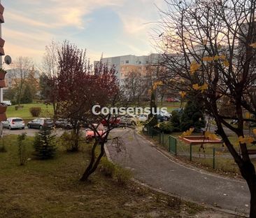 Katowice - Zdjęcie 5