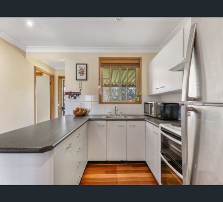 85 Government Road, Thornton, NSW 2322 - Photo 5
