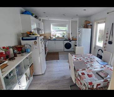 Room in a Shared House, Bulwer Road, E11 - Photo 5
