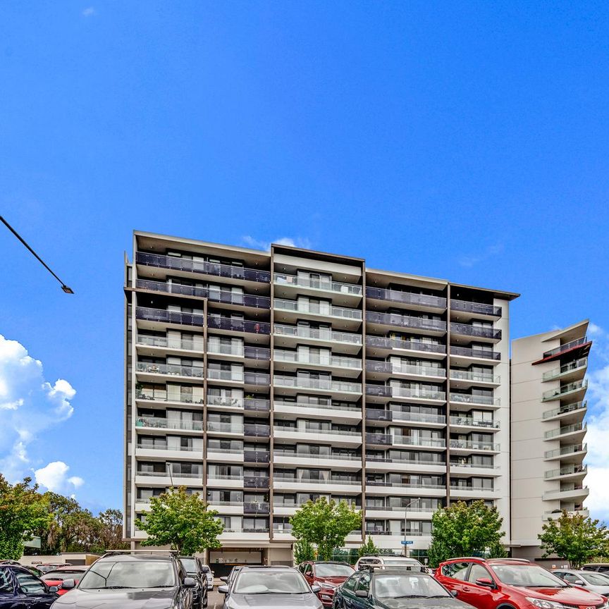 155/7 Irving Street, Phillip ACT 2606 - Apartment For Rent | Domain - Photo 1