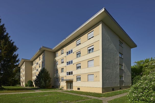 Ideal and beautiful apartment for young couple! - Foto 1