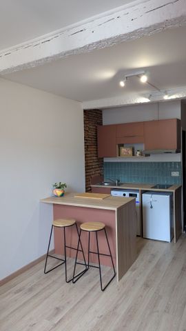 Location Appartement 1 pièce 20m² TOULOUSE 31000 - Photo 4