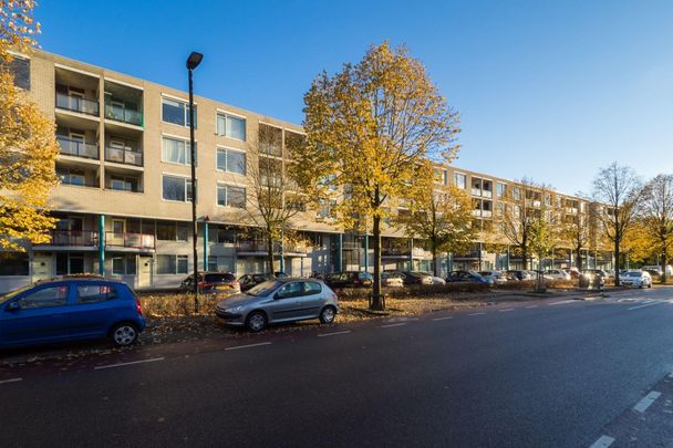 Te huur: Appartement Aartsbisschop Romerostraat in Utrecht - Foto 1