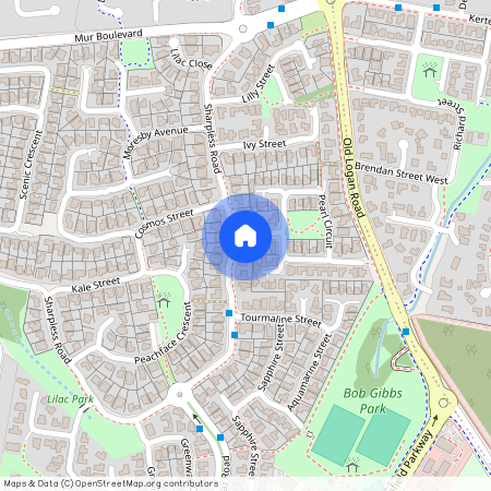 1 Zircon Street, Qld 4300, Springfield