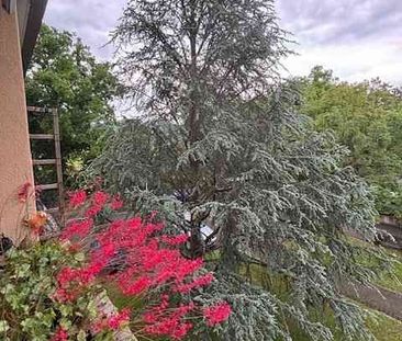 2.5 Zimmer, 64 m², 2. Stock - Foto 6