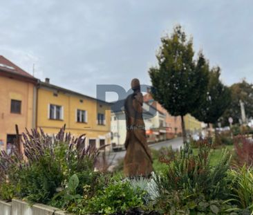 Pronájem bytu 2+1, 65 m2, Benešov nad Černou - Photo 4