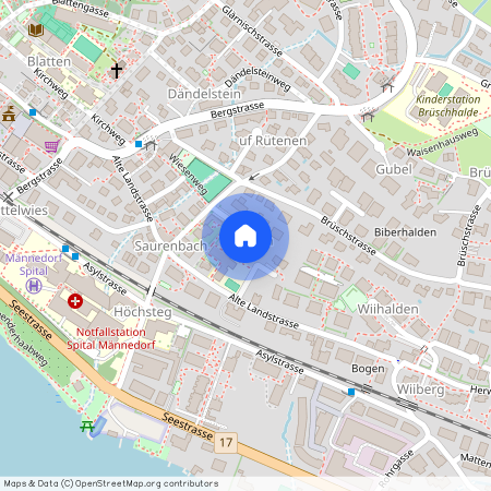 Im Wiesli 4, 8708, Männedorf