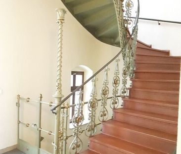 Gemütliche 1-Raum-Wohnung im sanierten Altbau im Zentrum von Chemnitz - Foto 3