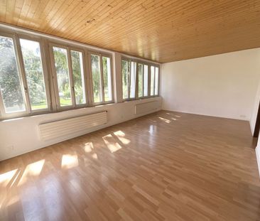 Appartement lumineux au rez-de-chaussée - beaux volumes et espaces ... - Foto 1