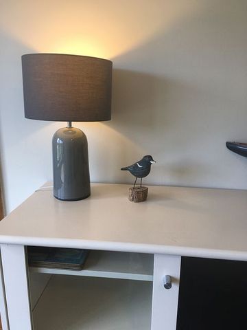 Fully furnished apartment near hospital - Photo 5