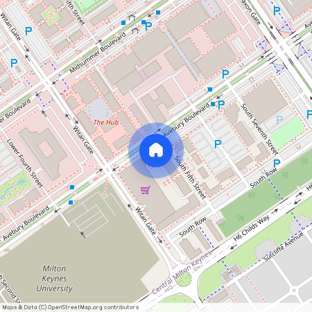 Amethyst House, Vizion