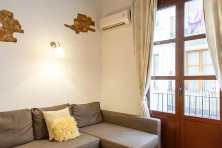 Carrer del Tigre, Barcelona, Catalonia 08001 - Photo 3