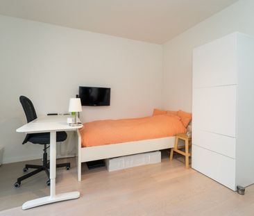 Prachtig en ruim huis met vier terrassen en bureelruimte in hartje ... - Foto 3