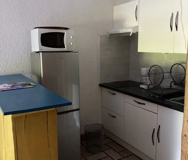 Location Appartement 1 pièce 25m² SALLANCHES 74700 - Photo 3