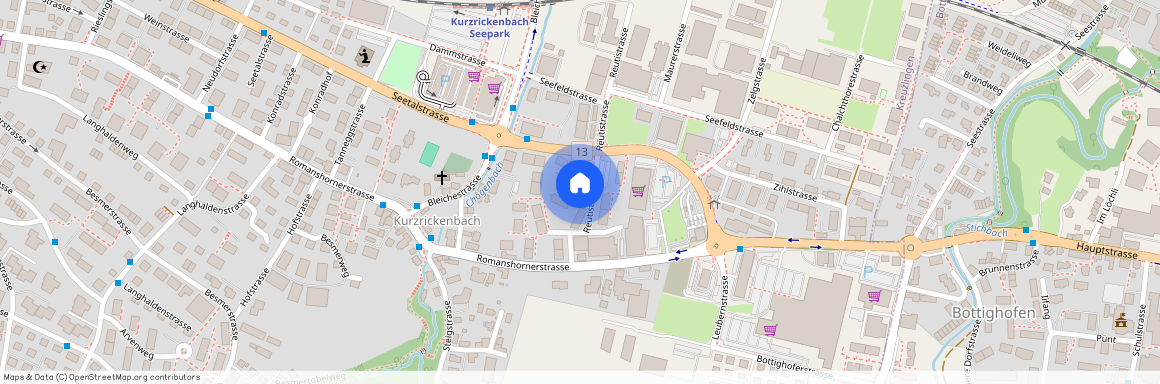 Reutistrasse 9, 8280 Kreuzlingen