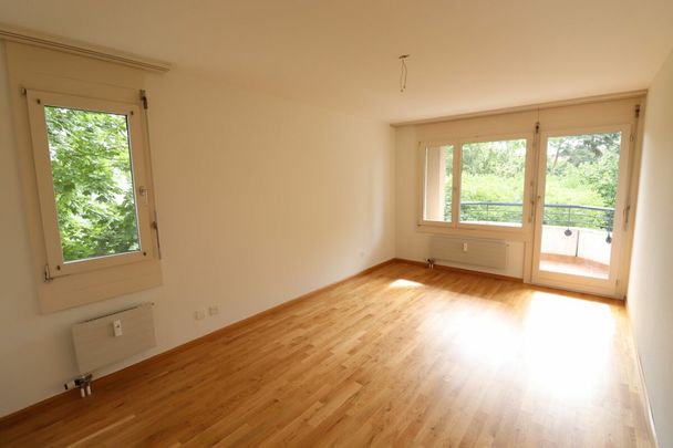 Nähe Morgartenring und Schützenmattpark - Gemütliche 3 1/2 Zimmer-Wohnung in Allschwil - Foto 1