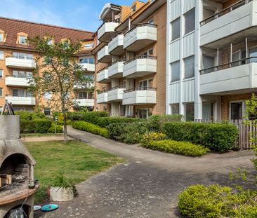 Högamöllegatan, Malmö - Photo 5