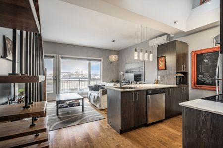 3351 Rue Masson, app.304, H1X 1R5, H1X 1R5, Montréal - Photo 5
