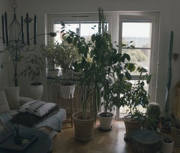 Bovägen, Timrå - Foto 5