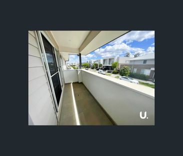 15 Sundew Street, Denham Court, NSW 2565 - Photo 2
