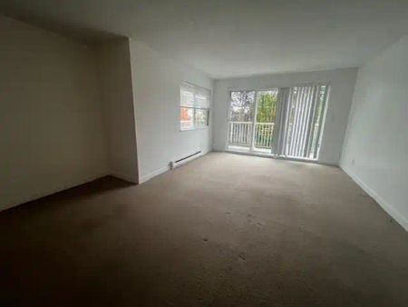 Cumberland Park Apartments — 307 - Photo 5