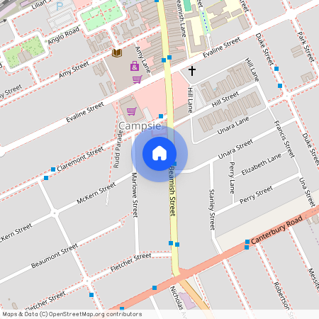 322 Beamish Street, NSW 2194, Campsie