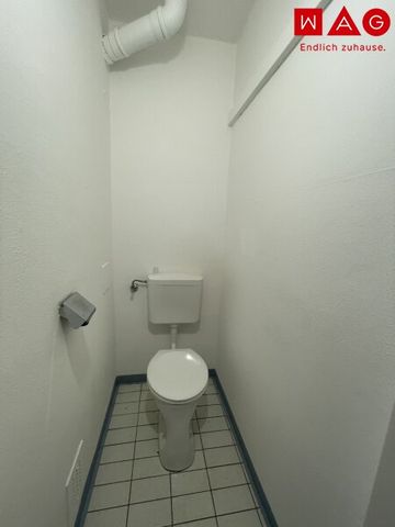 2-Raum-Wohnung in der Nähe des Parks! Ab sofort zu beziehen! - Photo 2