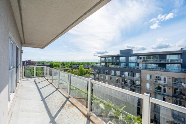 Appartement à louer - Mont-Royal - Photo 1