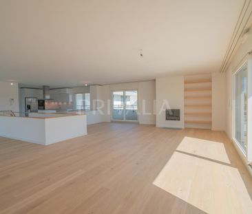 Superbe attique en duplex rénové avec terrasses et vue dégagée - Foto 3