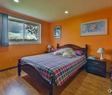 Four-bedroom Family Home in Leppington - Photo 3