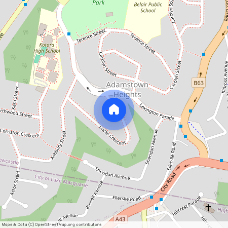 12 Lucas Crescent, Adamstown Heights NSW 2289