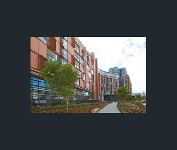 C206.2/83 O'Connor Street, Chippendale, NSW 2008 - Photo 5