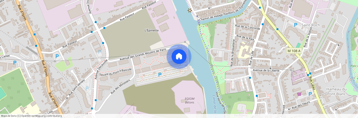 39 Avenue Des Grands Moulins De Paris, 59520, Marquette-Lez-Lille